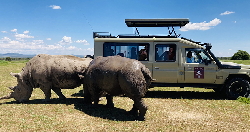 1-day-olpejeta-conservancy-trip-from-nairobi-1
