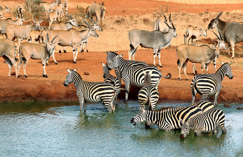 tsavo-east-national-park
